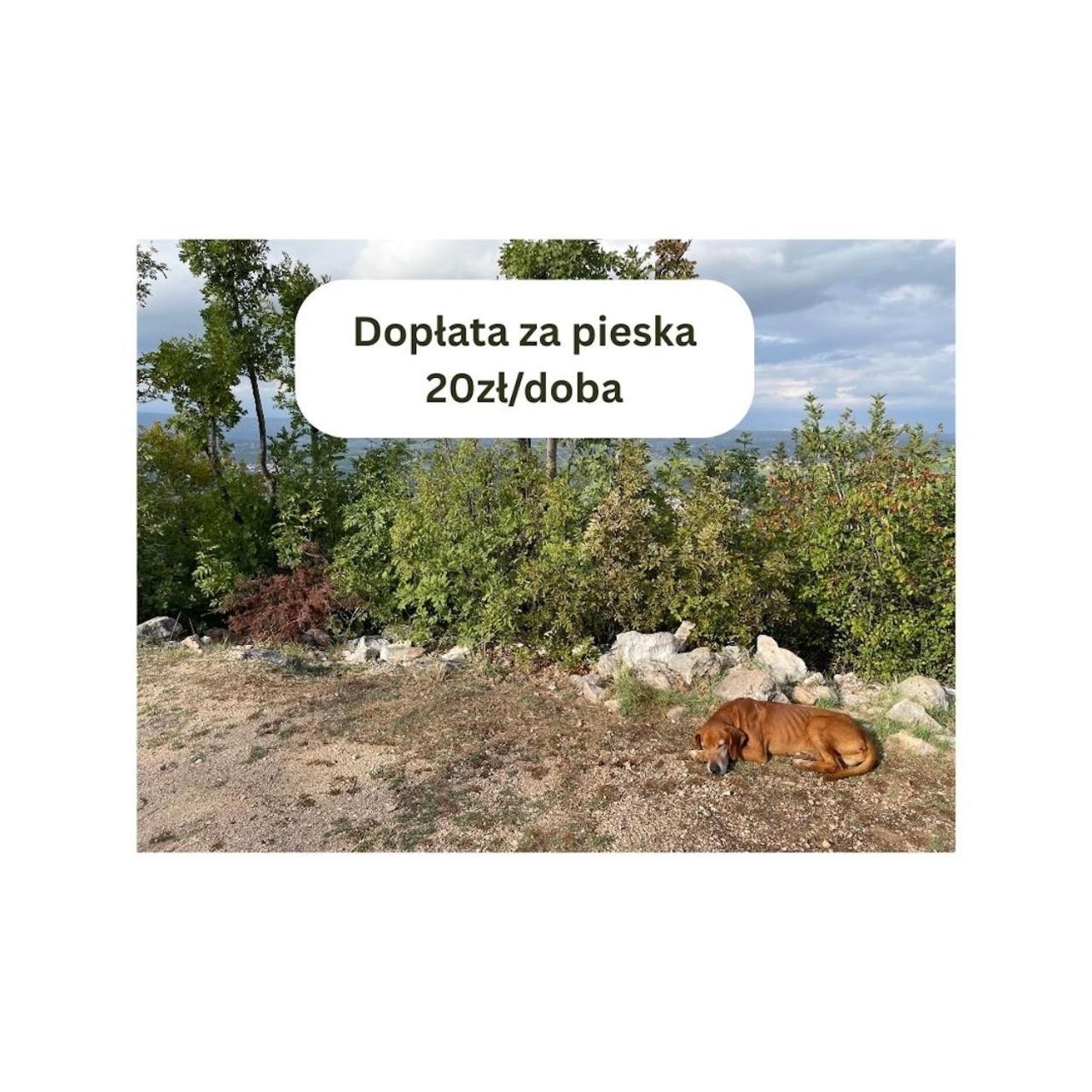 Lakowa Dolina - Domek Letniskowy Suprasl Bagian luar foto